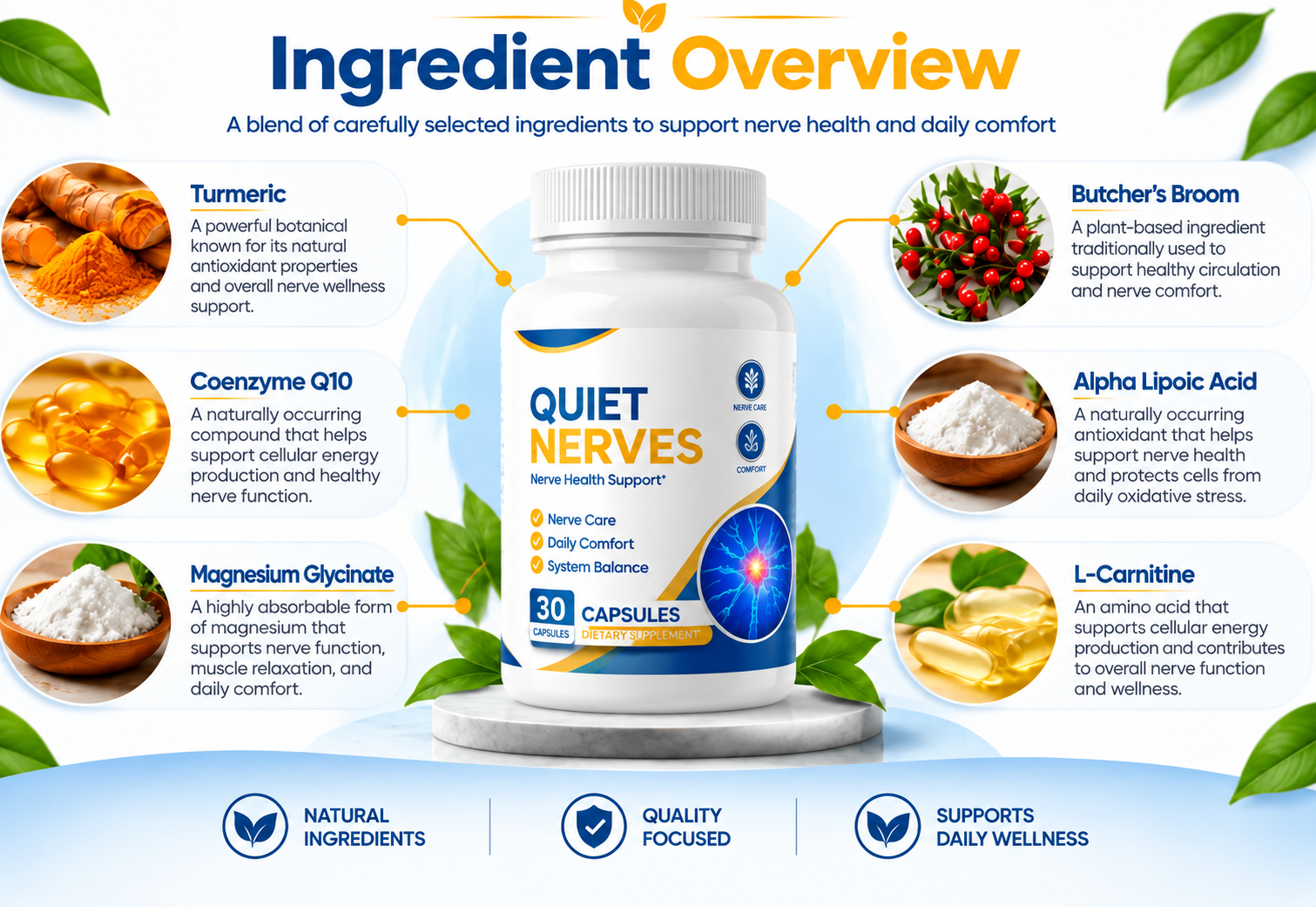 Quiet Nerves ingredient overview including turmeric, CoQ10, magnesium glycinate, butcher's broom, alpha lipoic acid and L-carnitine