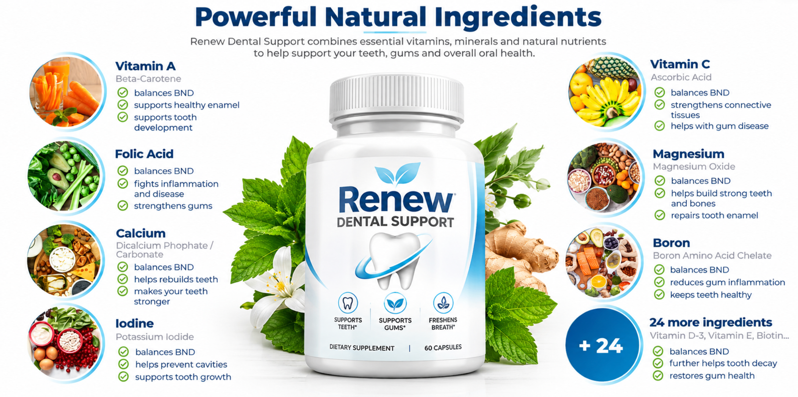 Renew Dental Support ingredients infographic featuring vitamins and minerals